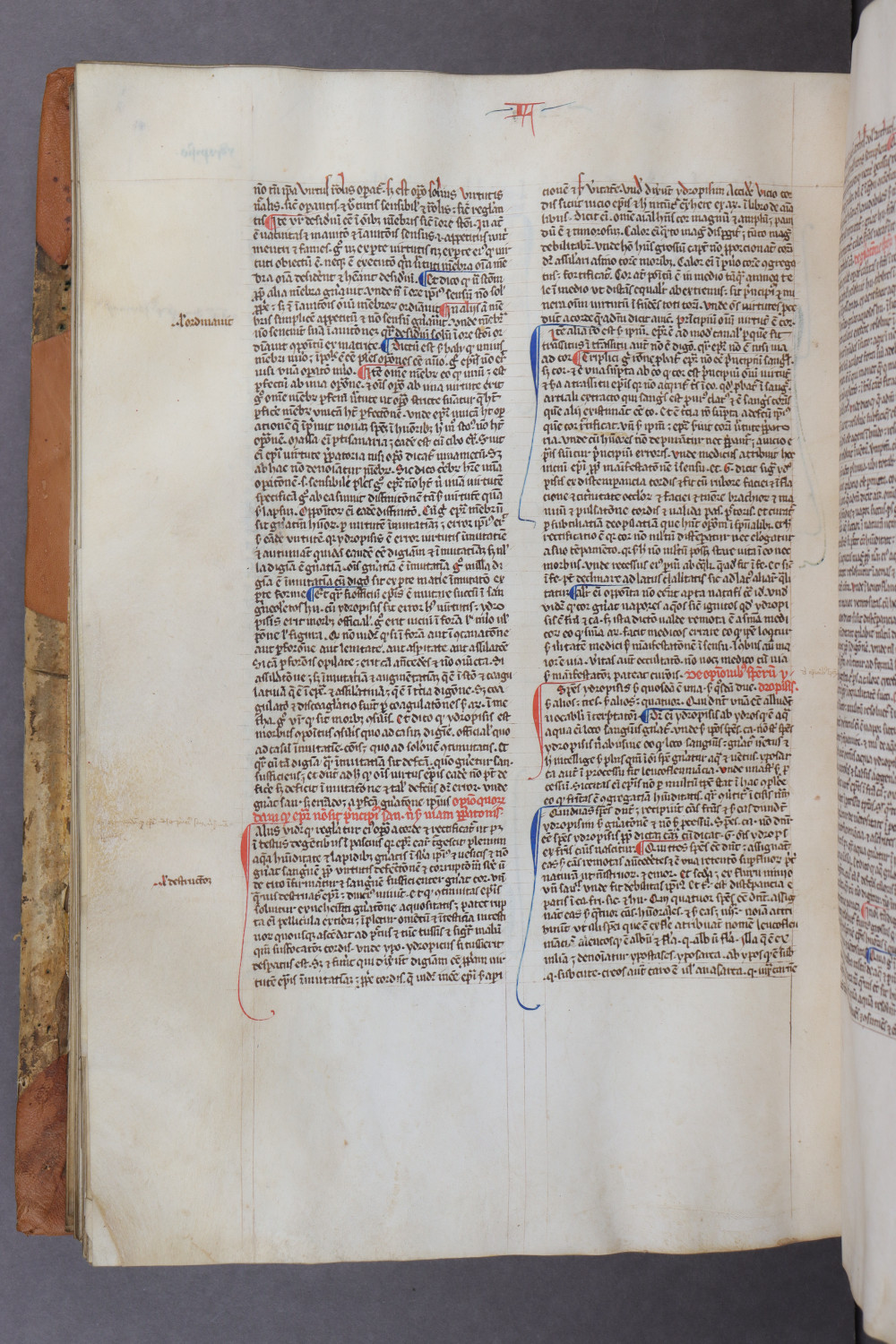 Folio 115 verso